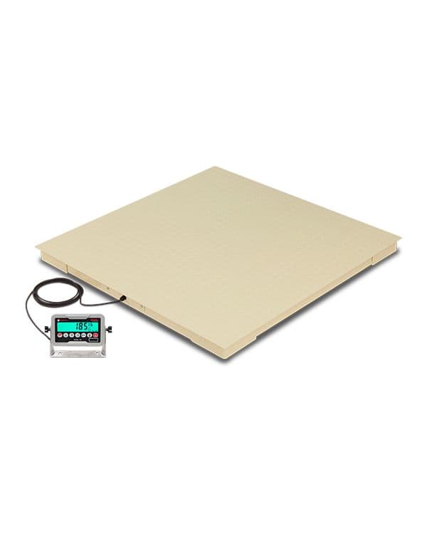 Floor Scales
