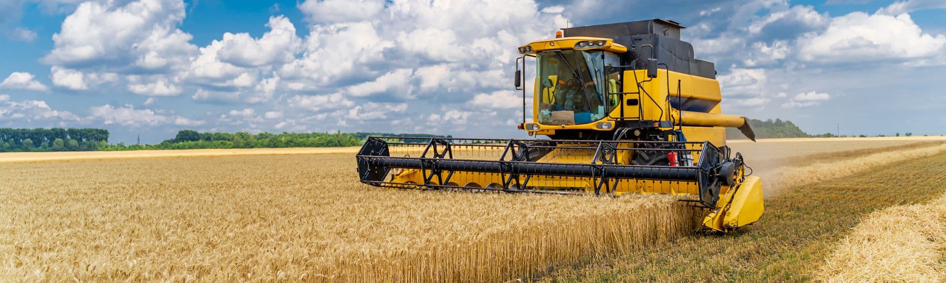 Agriculture