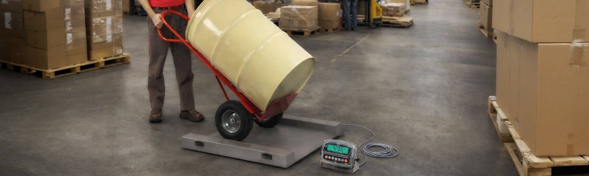 Portable Scales