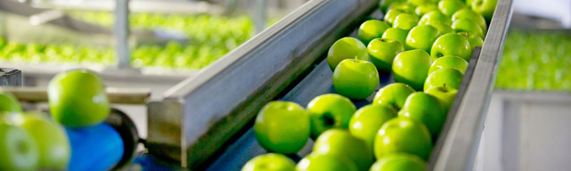 Food Processing