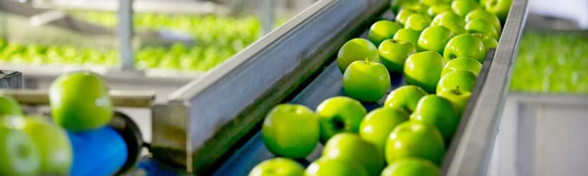 Food Processing