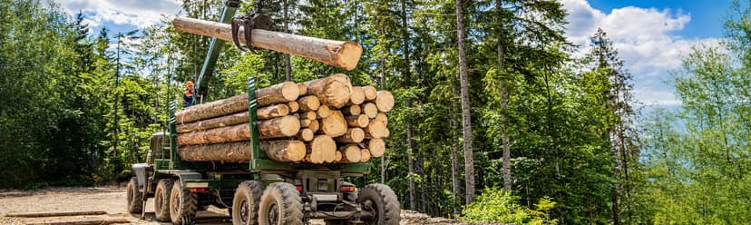 Logging
