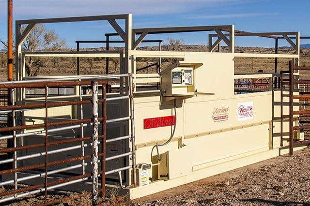 The ‘Weigh’ to Decide on Livestock Scales