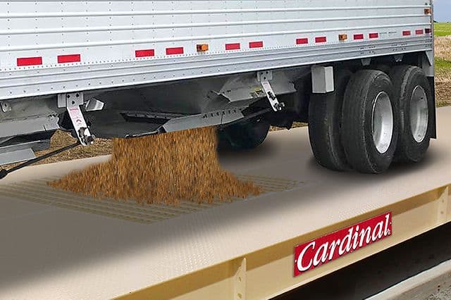 Truck Scale Accessories: Optional Equipment to Consider When Buying a Truck Scale