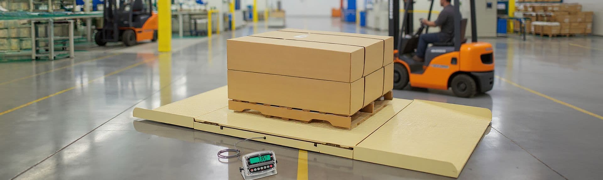 RuggedWeigh Economical Floor Scales