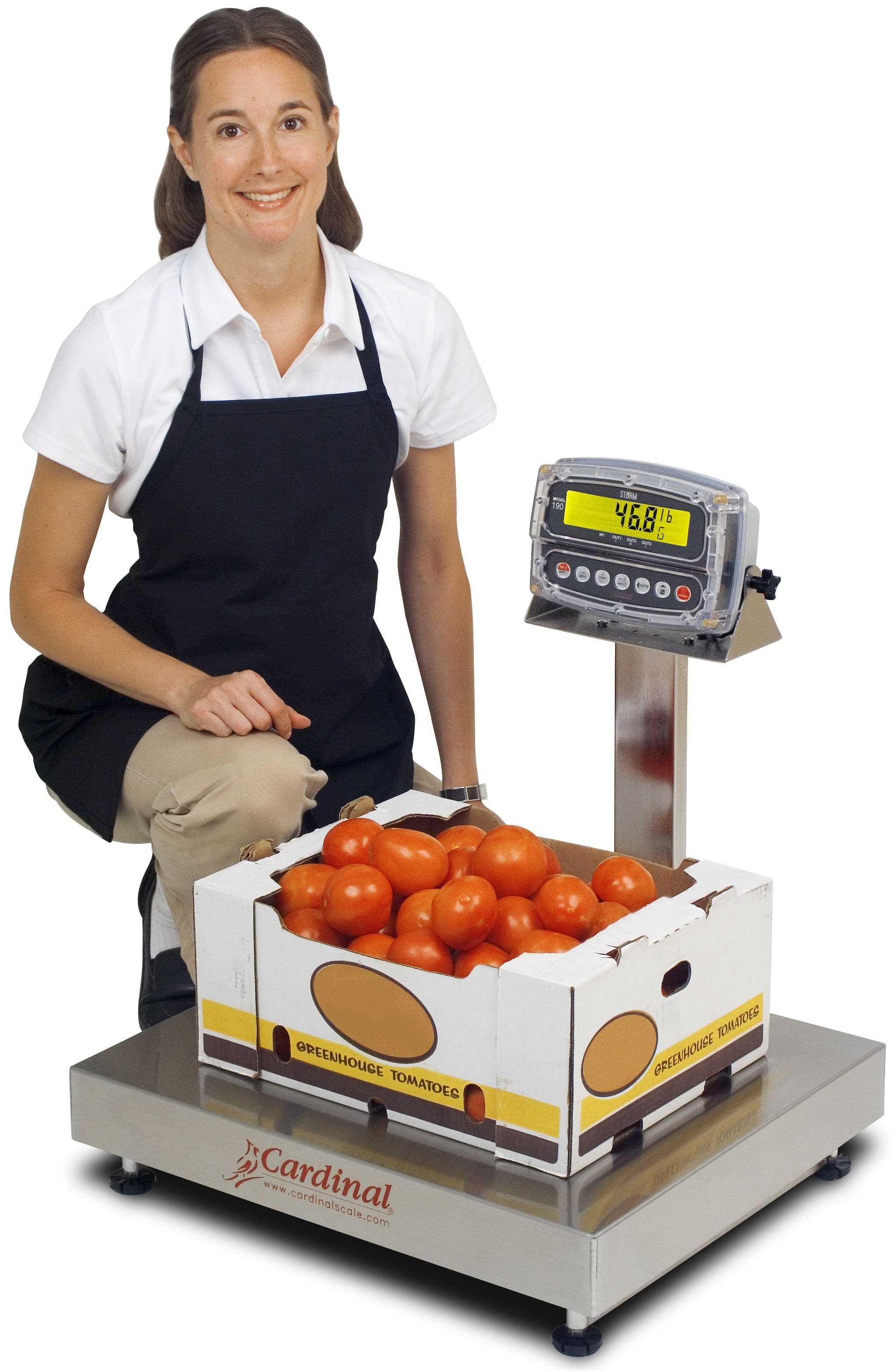 EB-300-190_WeighingCarton.jpg